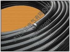 新疆黑色金属平塑绕性管2规格